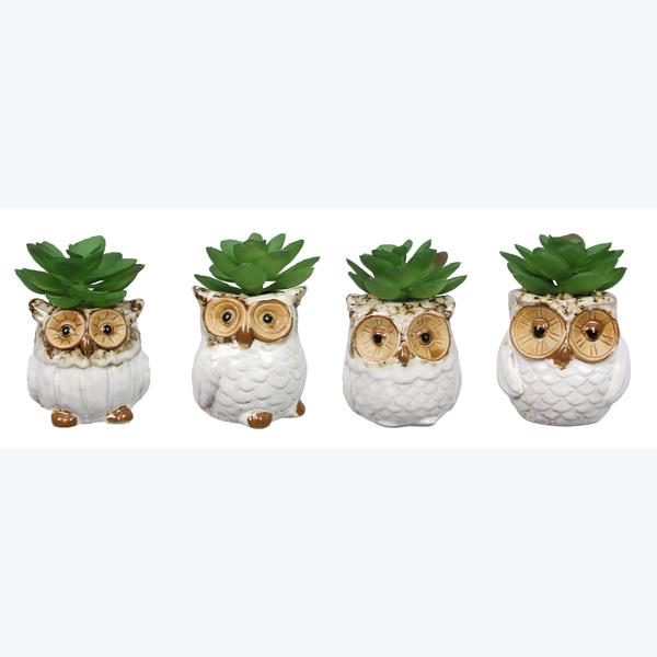 owl succulent planter Asst Stoneware Owl Whitewashed Succulent Planter