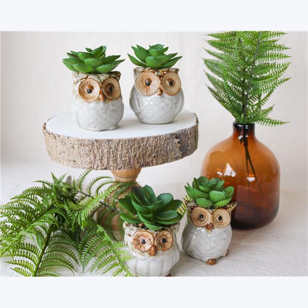 owl succulent planter Asst Stoneware Owl Whitewashed Succulent Planter