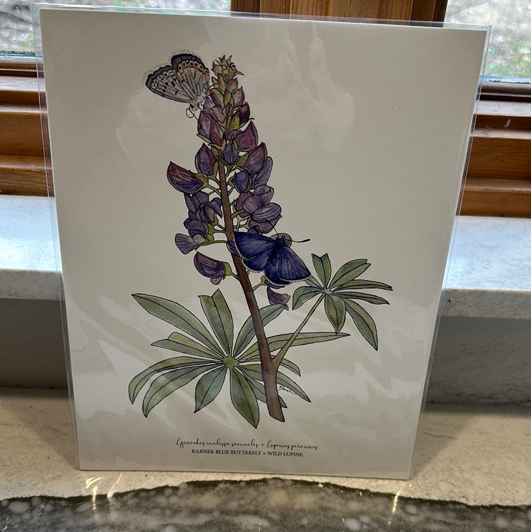 Michigan Wildflowers 8x10 Print