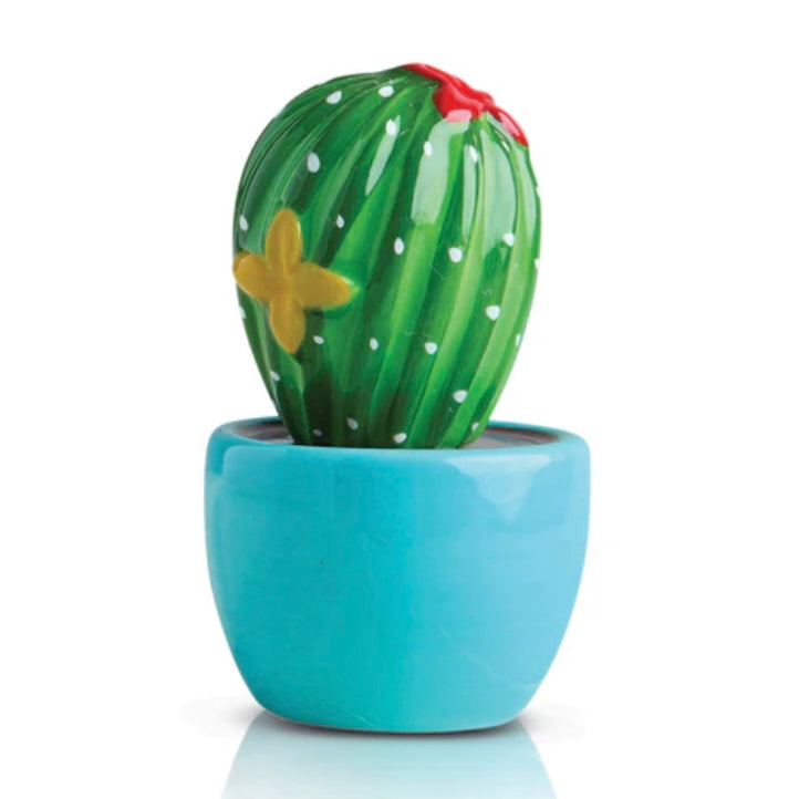 Can&#39;t Touch This Cactus Nora Mini