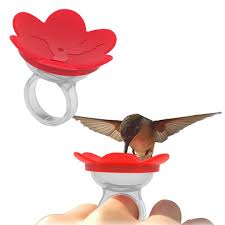 Hummingbird Feeding Ring