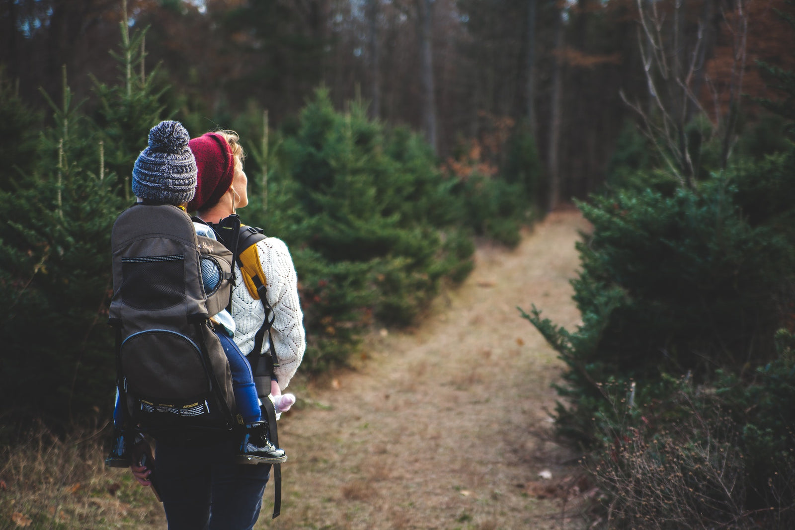 Embrace the Great Outdoors: 10 Family-Friendly Activities in Bay County, Michigan