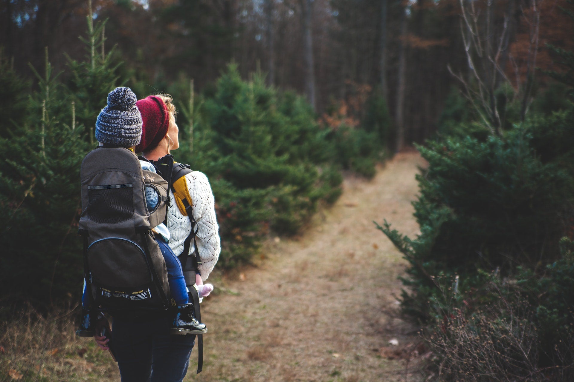 Embrace the Great Outdoors: 10 Family-Friendly Activities in Bay County, Michigan