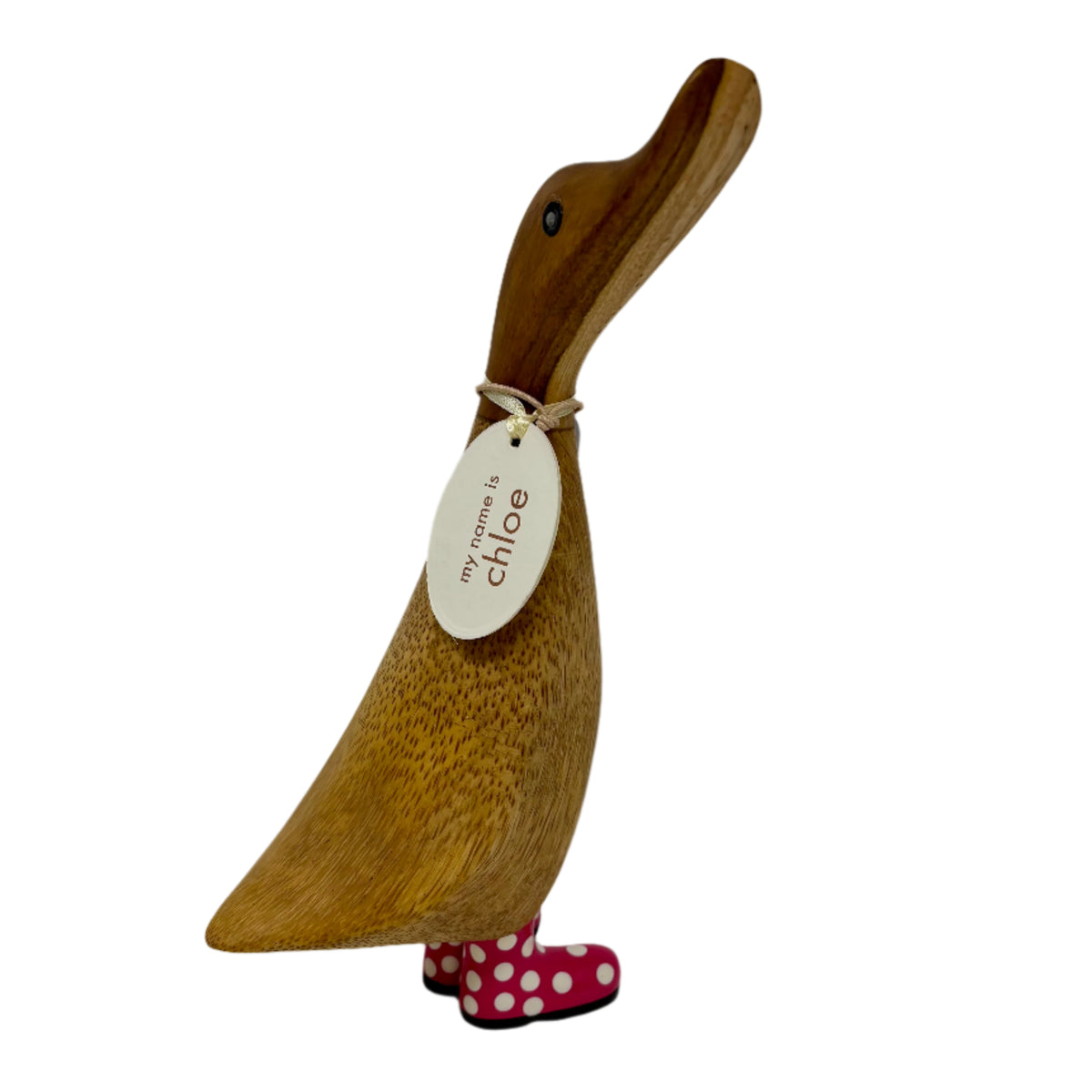 Spotty Boots Duckling