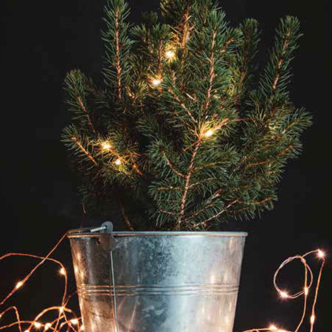 Copper Wire Mini Lights