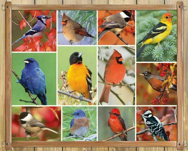 100 Pc Jigsaw Puzzle