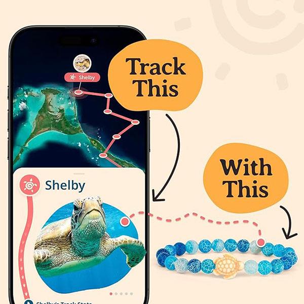 The Journey Sea Turtle Bracelet
