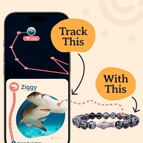 The Voyage Shark Bracelet