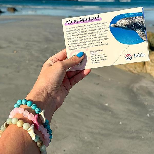 The Odyssey Dolphin Bracelet