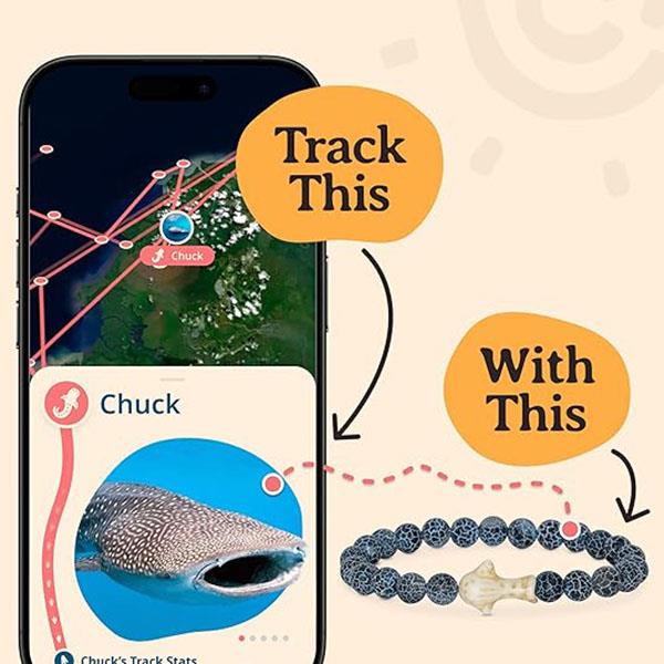 The Quest Whale Shark Bracelet