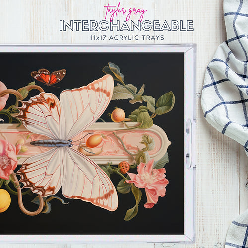 Eclectic Moody Interchangeable Inserts