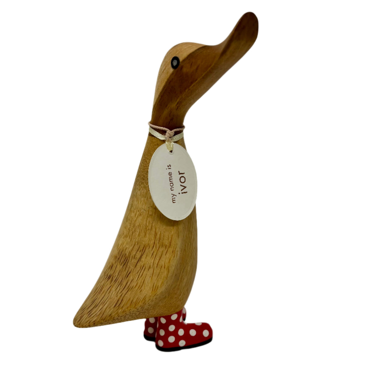 Spotty Boots Duckling