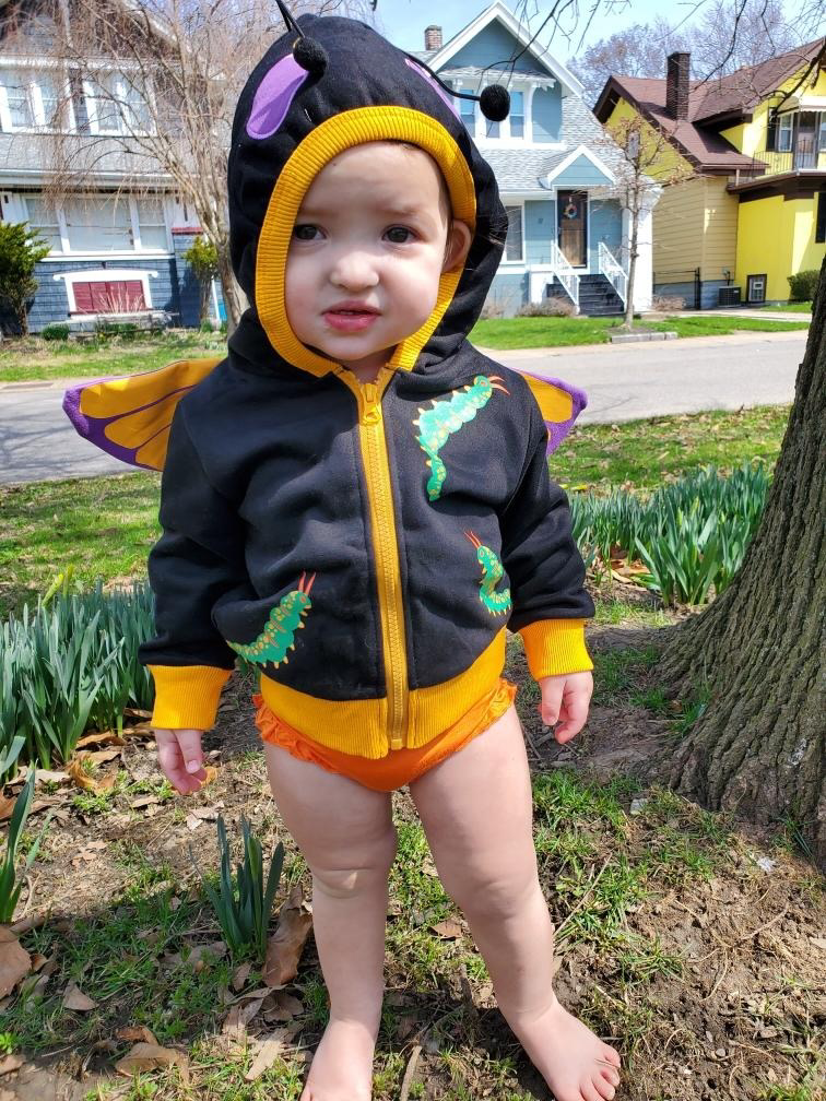 Butterfly 3D Hoodie