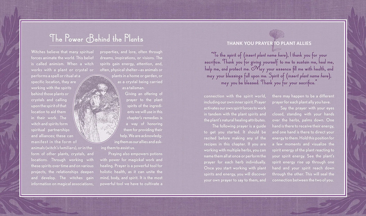 The Good Witch's Guide