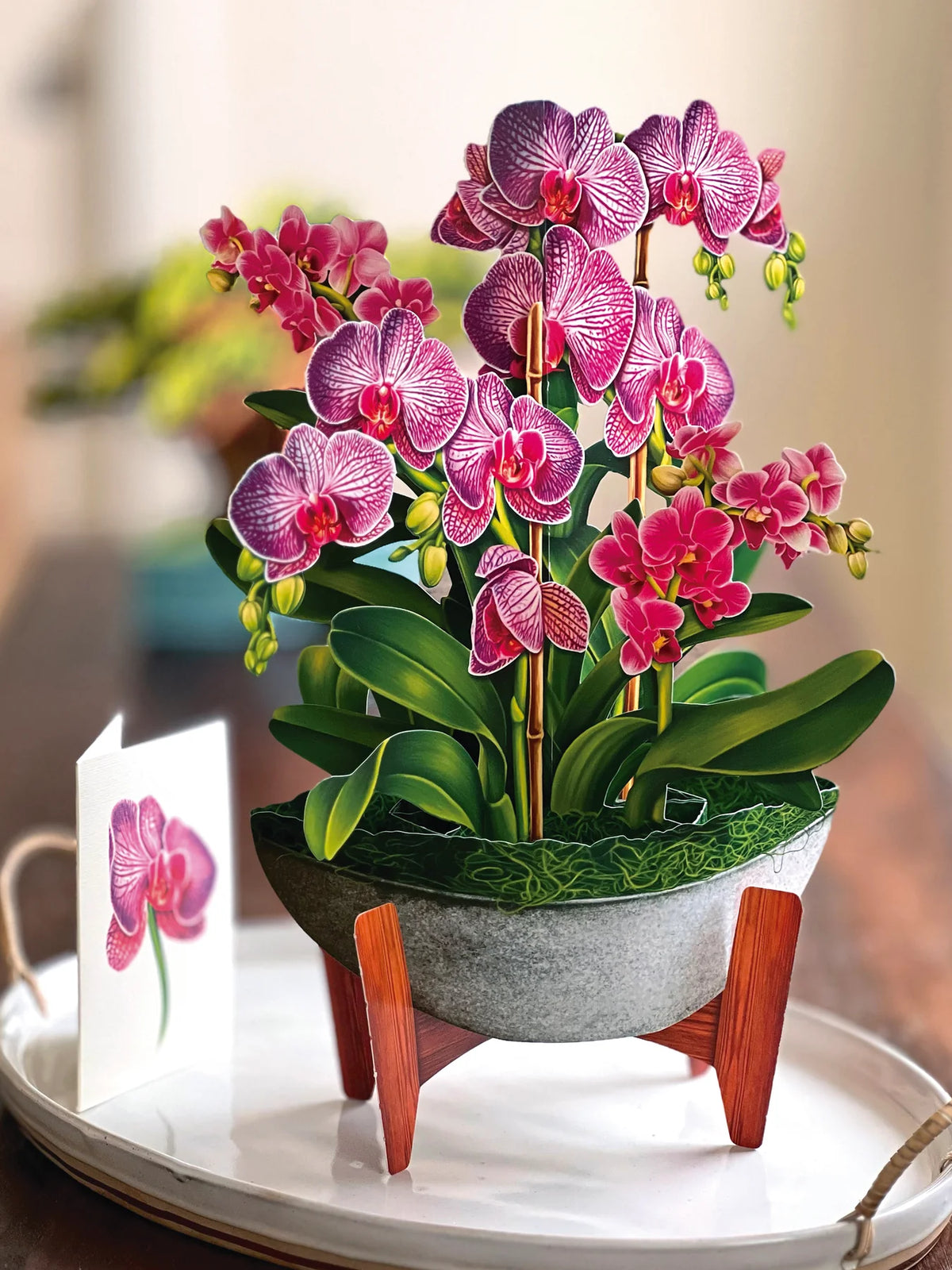 Fresh Cut Paper Standing Flowers Card