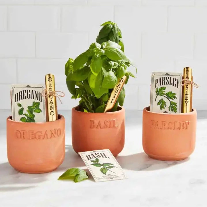 Herb Planting Set