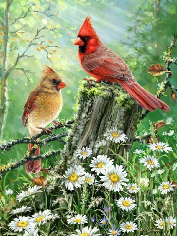 Golden Light 500pc Puzzle