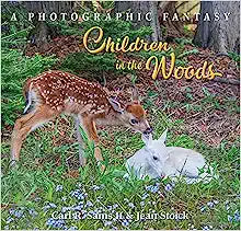 Children In The Woods Book