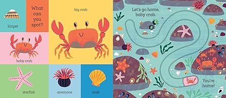 Let&#39;s Go Home, Baby Shark Board Book
