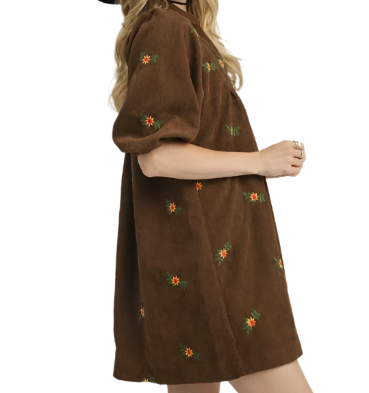Brown Embroidered Corduroy Dress