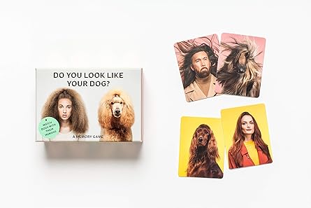 Do You Look Like Your? A Memory Game
