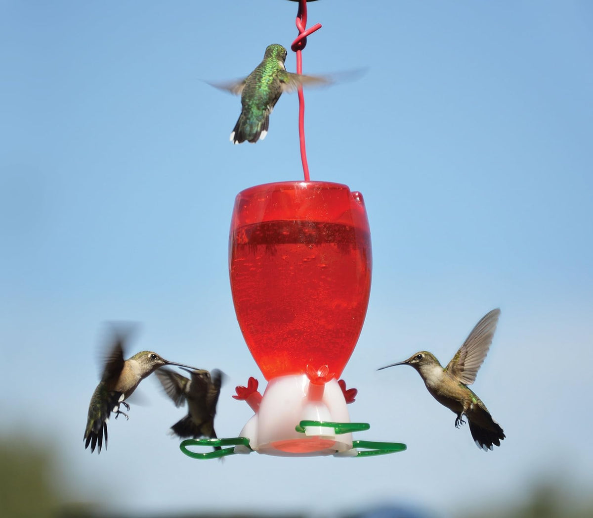 Big Red Hummingbird Feeder