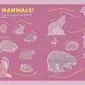 Backpack Explorer Stickers Nature Adventure