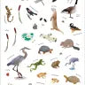 Backpack Explorer Stickers Nature Adventure