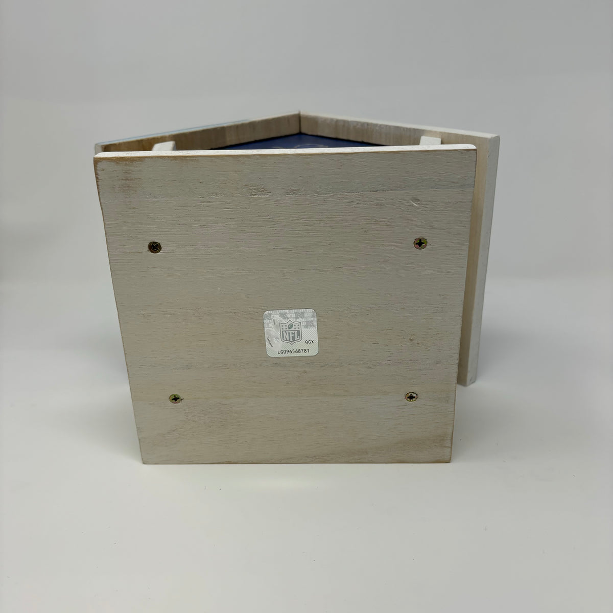 Detroit Lions Birdhouse