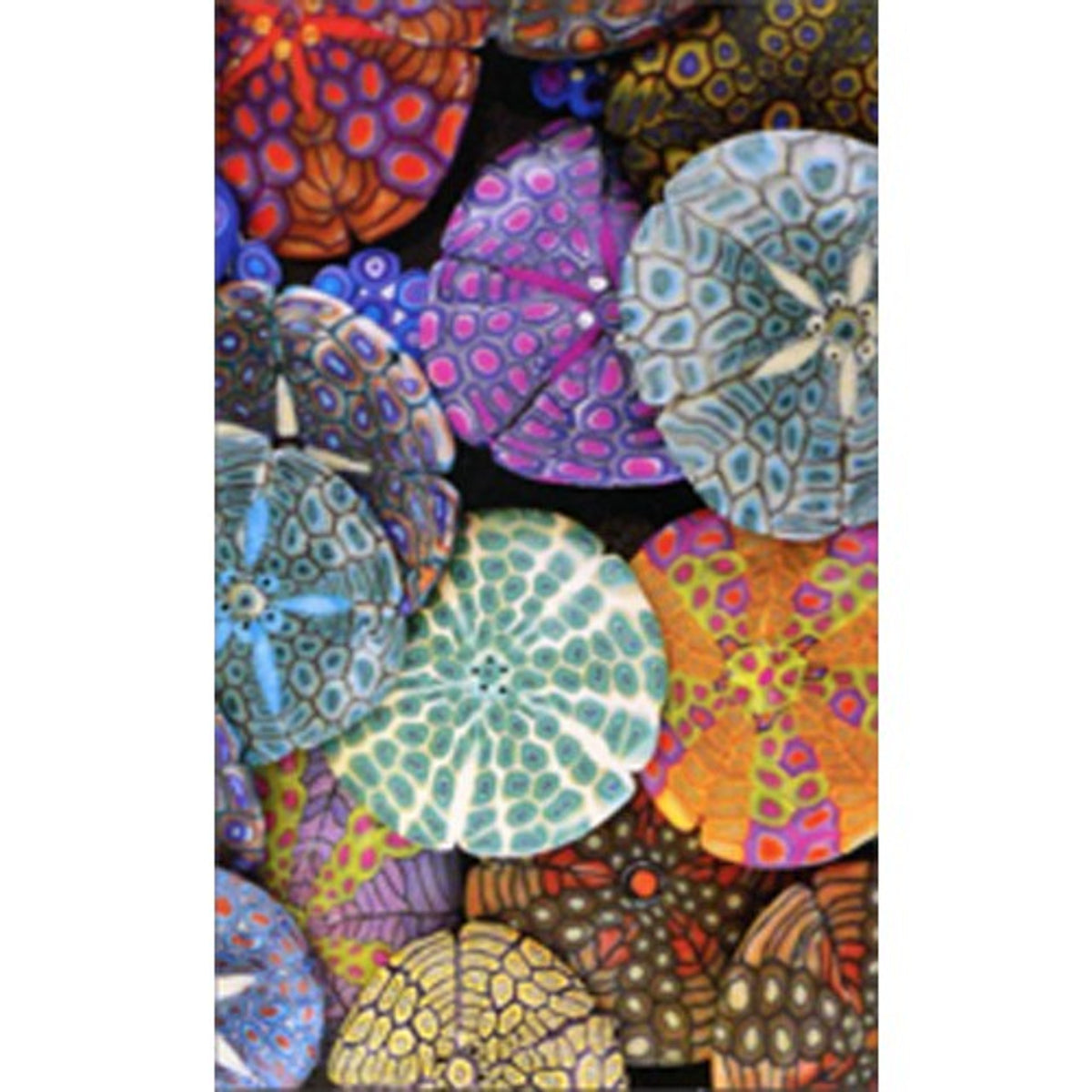 Colorful Sand Dollars Mini Card