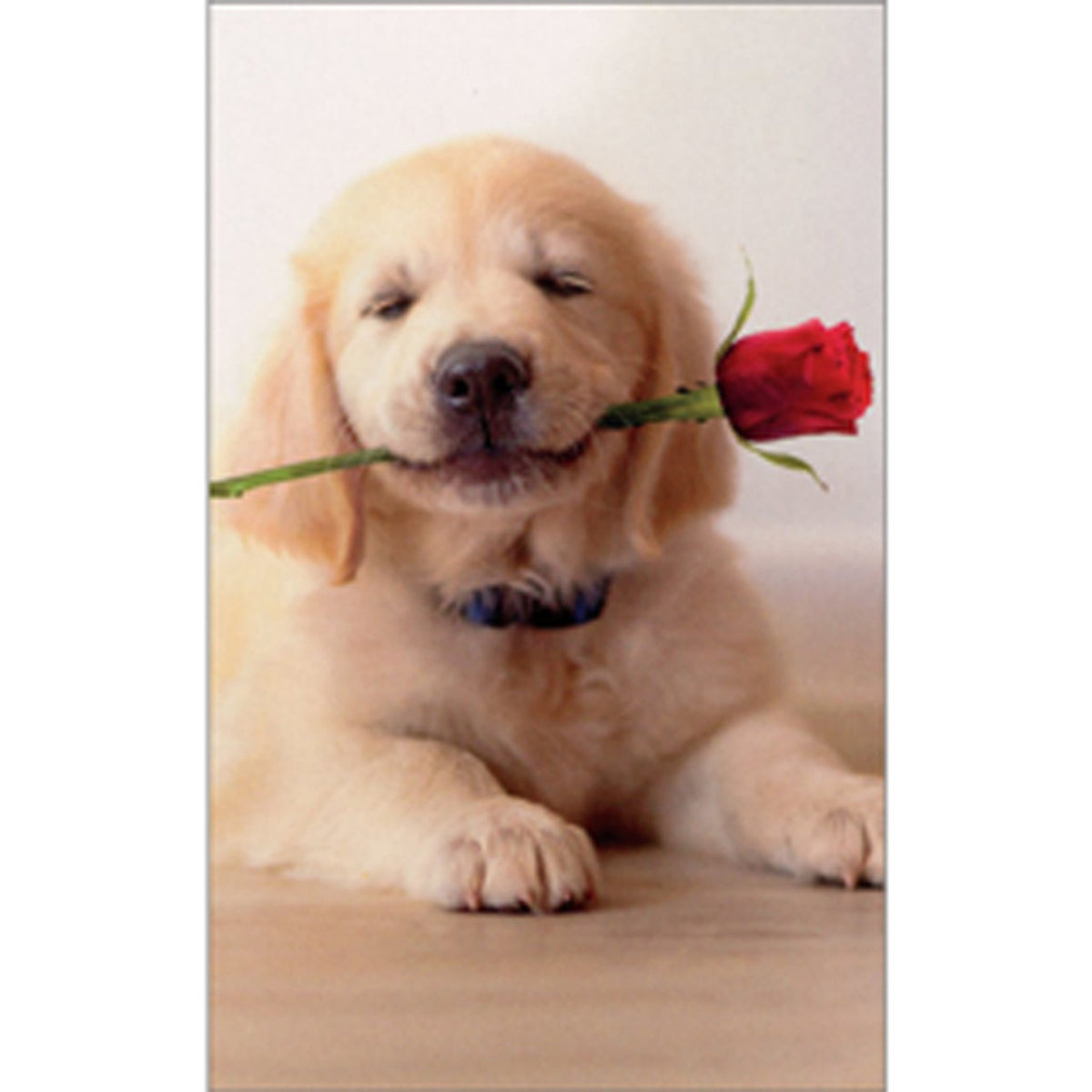 Golden Puppy w/ Rose Mini Card