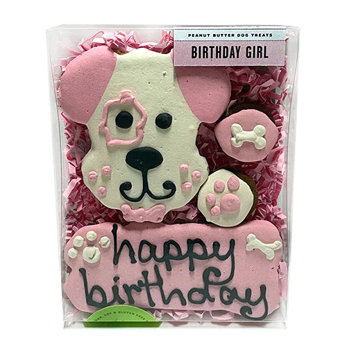 Doggie Gift  Box Treats