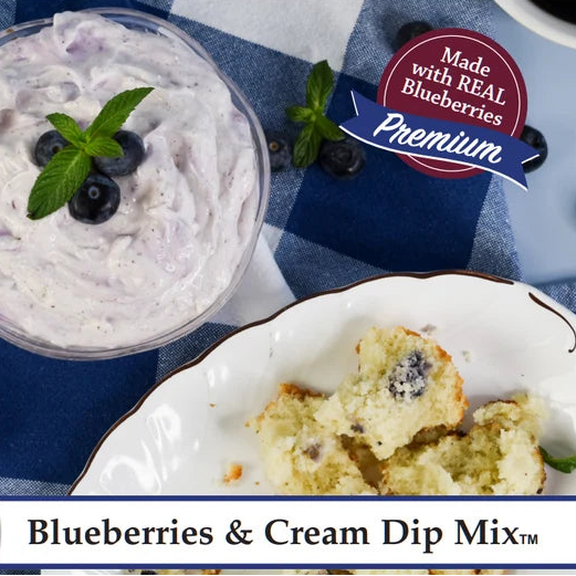 Michigan Blueberries & Cream Dip Mix