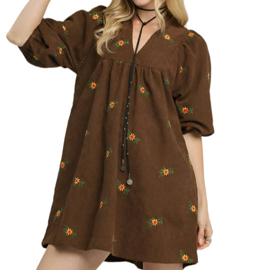 Brown Embroidered Corduroy Dress