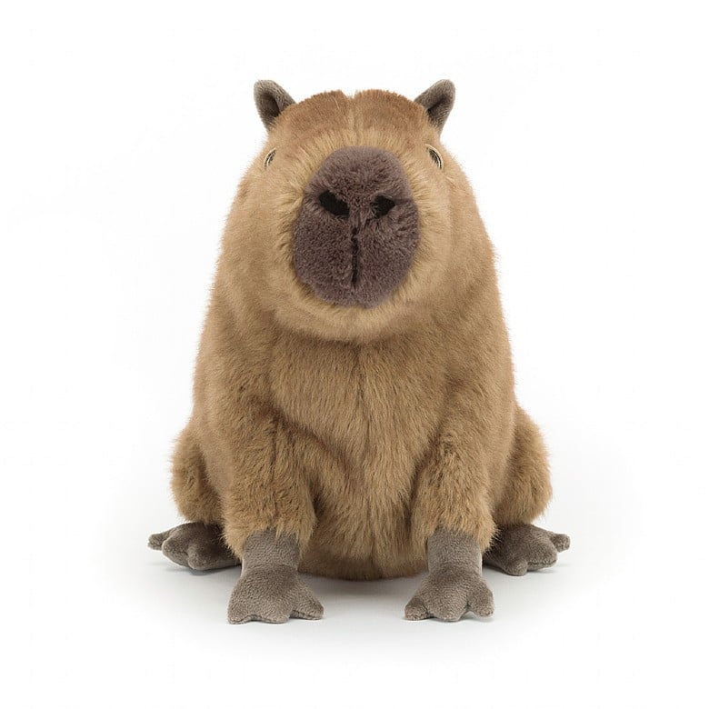 Clyde Capybara Plush