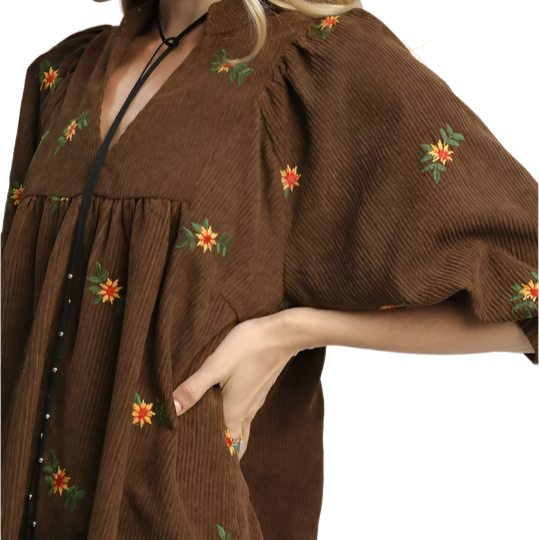 Brown Embroidered Corduroy Dress