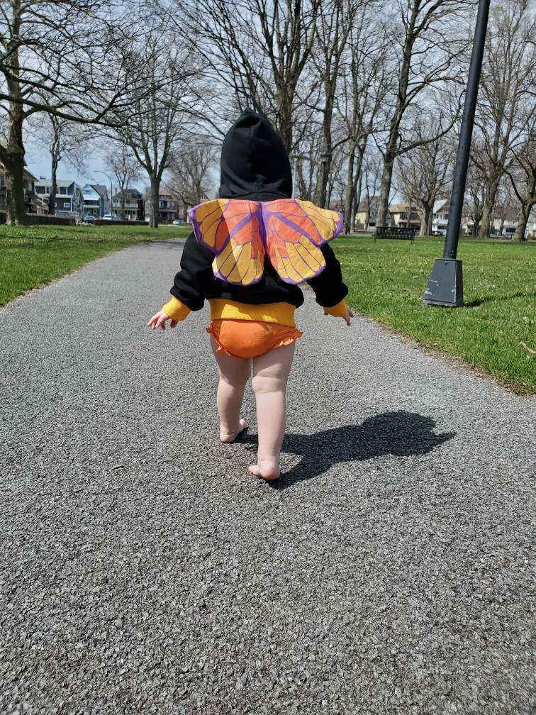 Butterfly 3D Hoodie