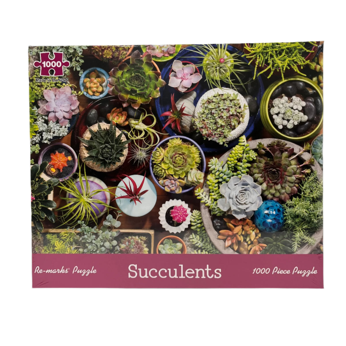 Succulents 1000pc Puzzle