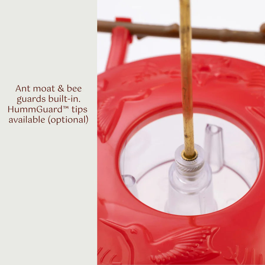 Aspen Perch Hummingbird Feeder 8oz