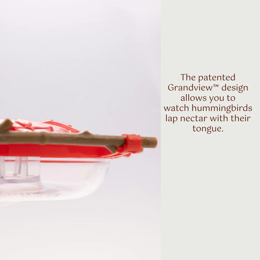 Aspen Perch Hummingbird Feeder 8oz