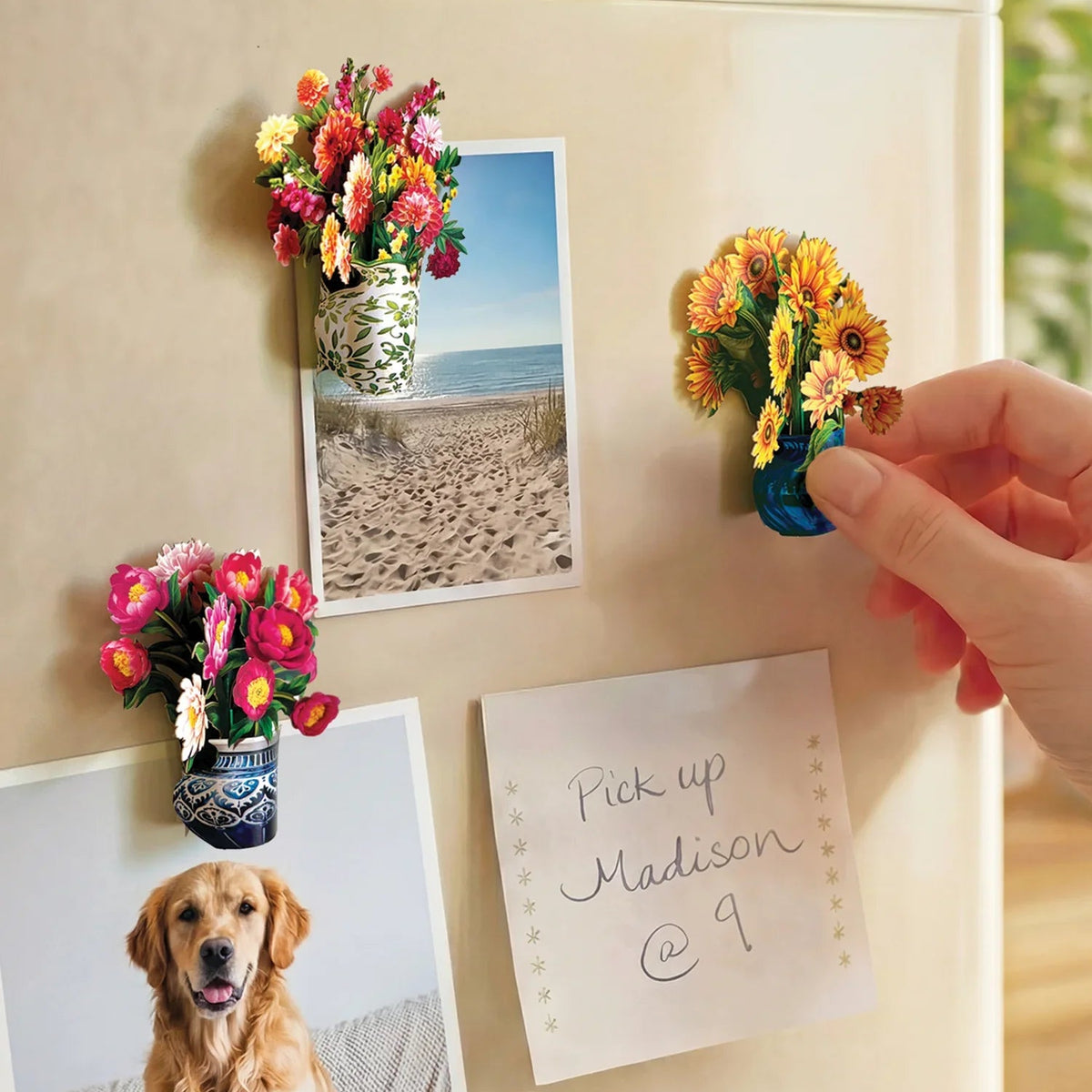 Freshcut Mini Magnets Set