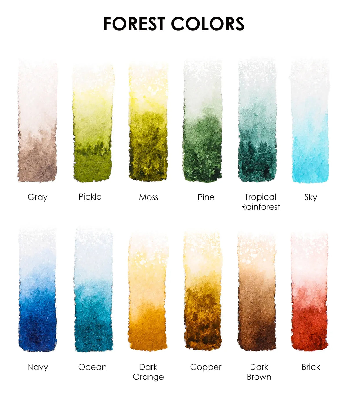 Watercolor Pocket Set of 12 with Brush