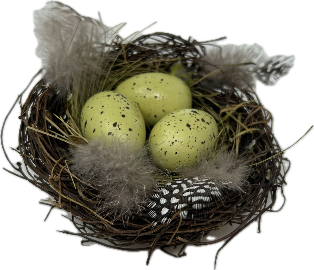Natural Egg Nest
