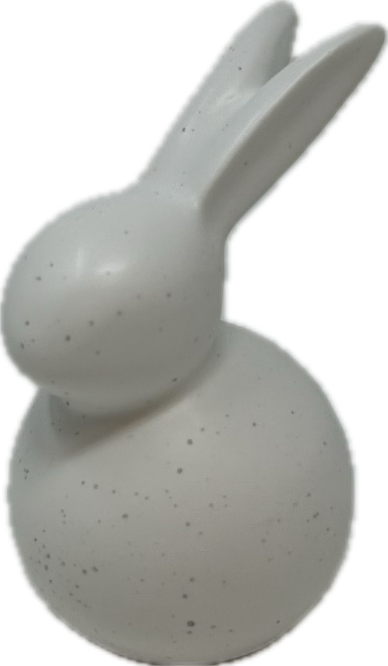 Porcelain Bunnys