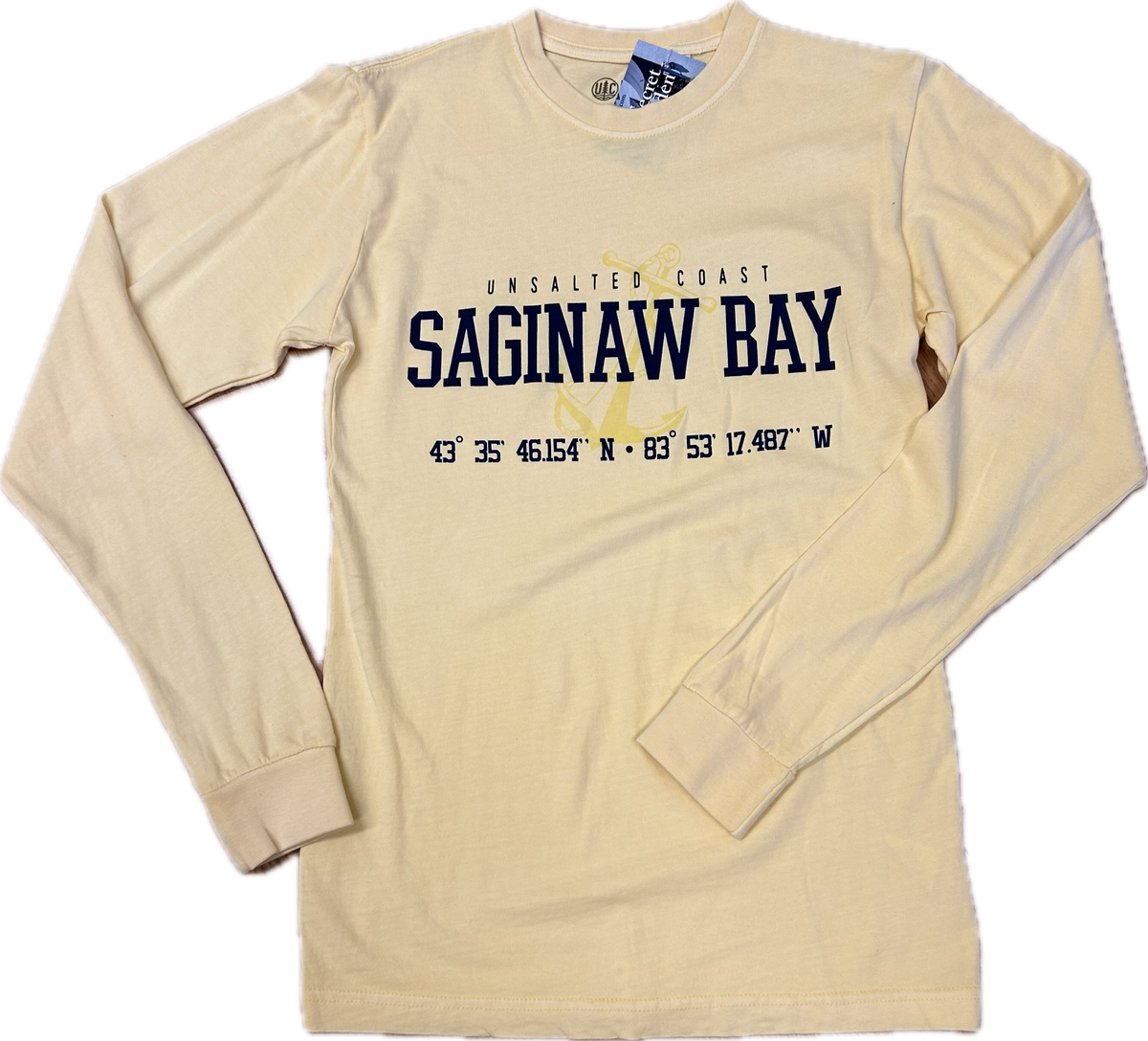 Anchor Design - Saginaw Bay