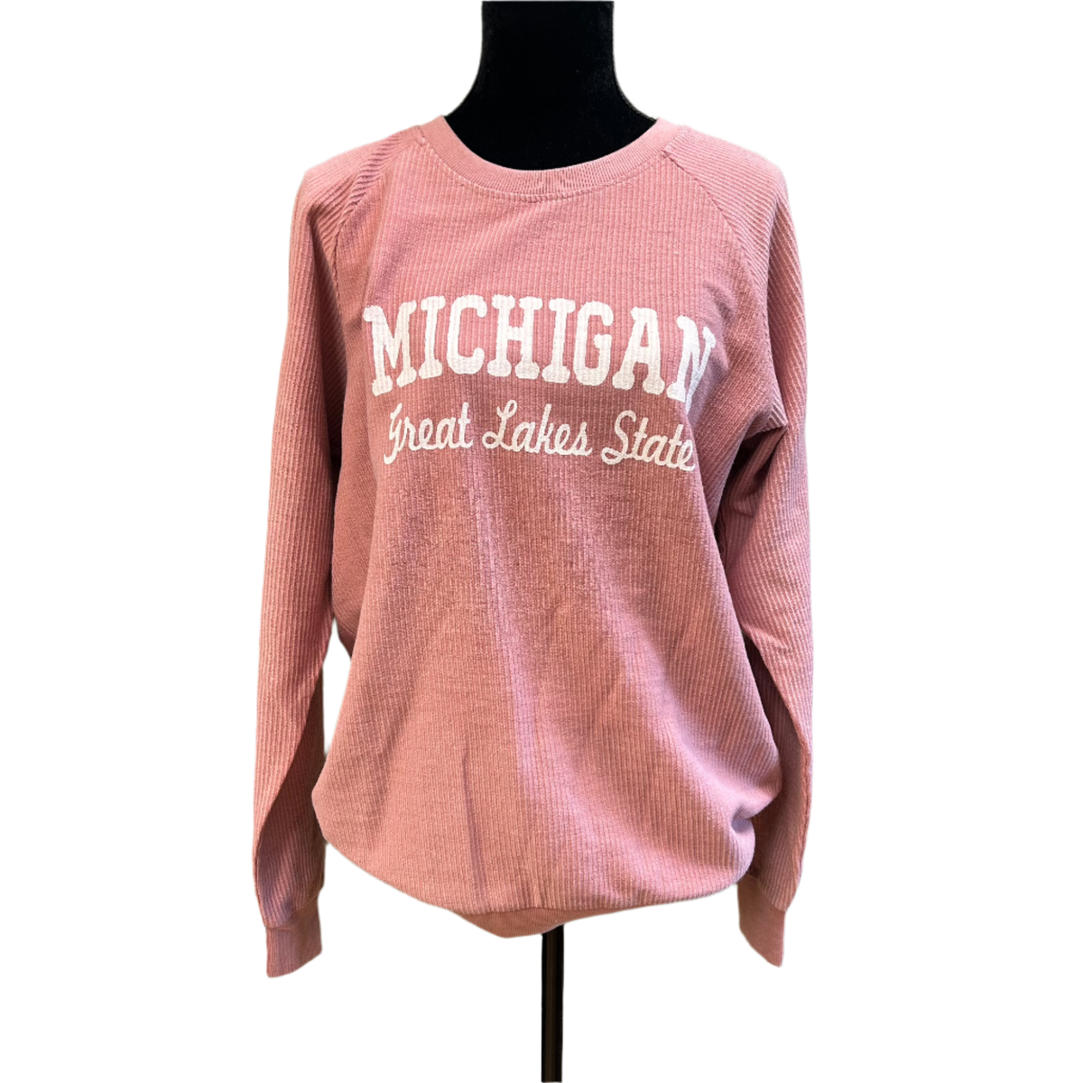 Michigan Great Lakes State Sweatshirt