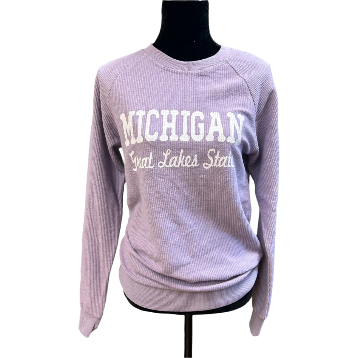 Michigan Great Lakes State Sweatshirt