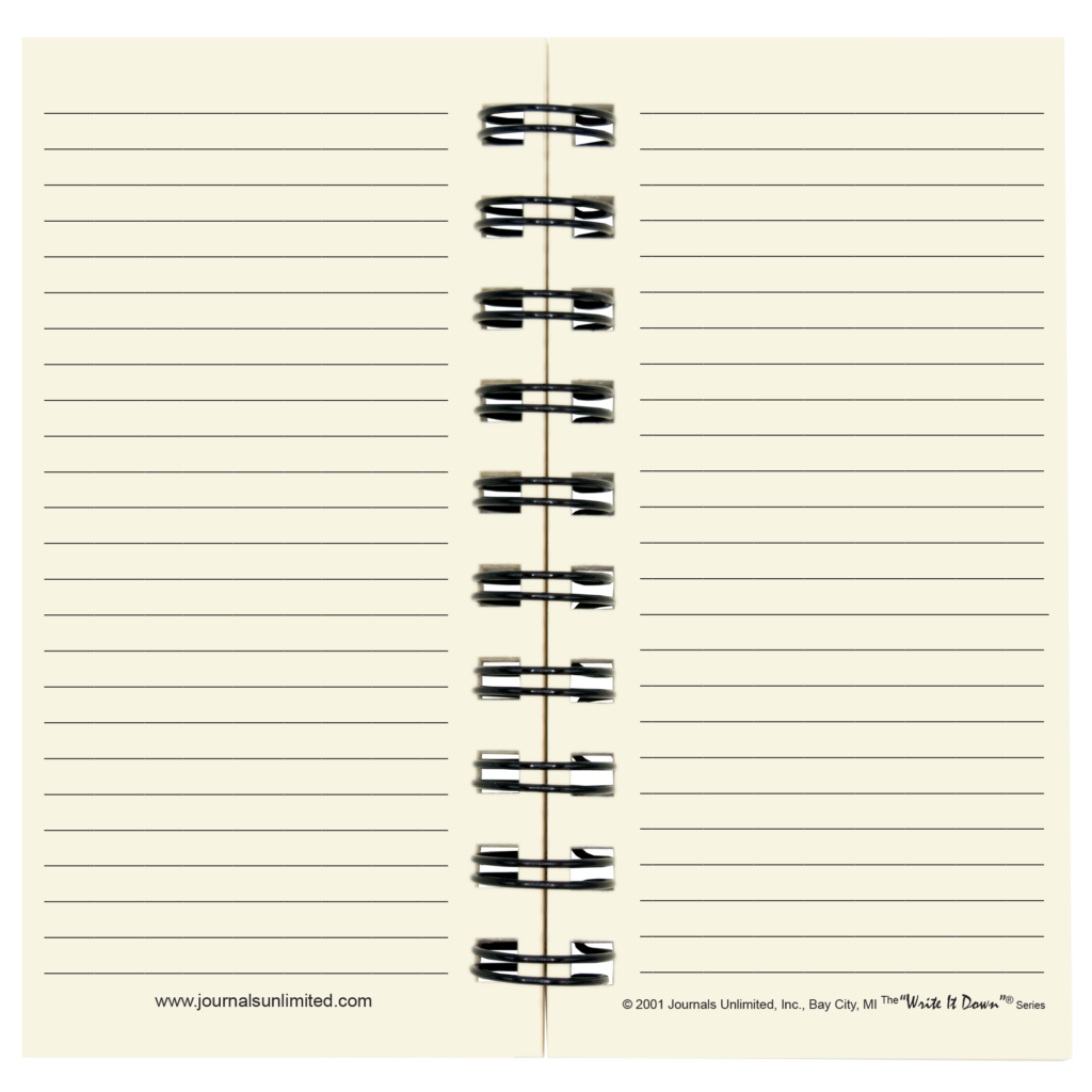 The Blank Mini Journal