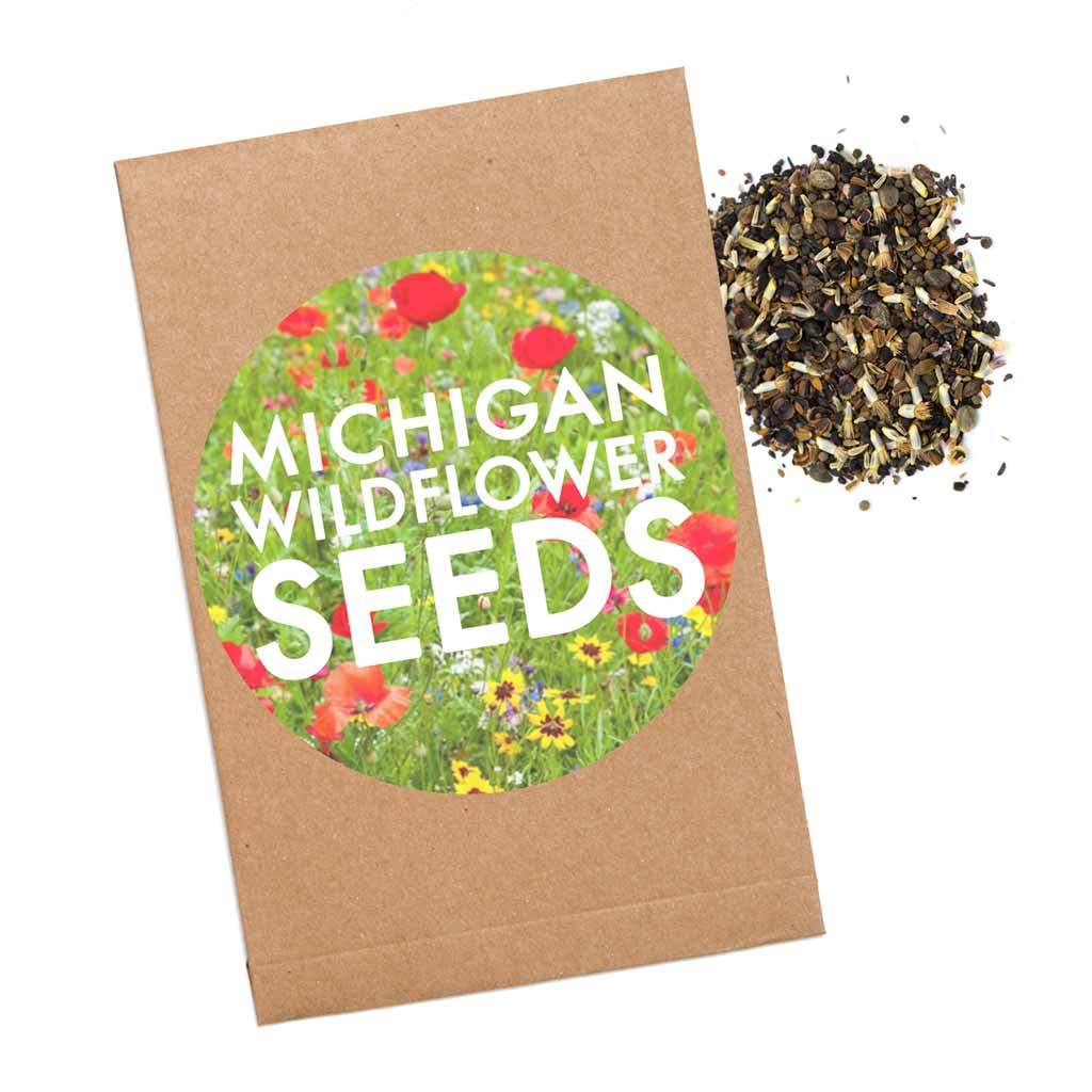 Michigan Wildflower Seeds