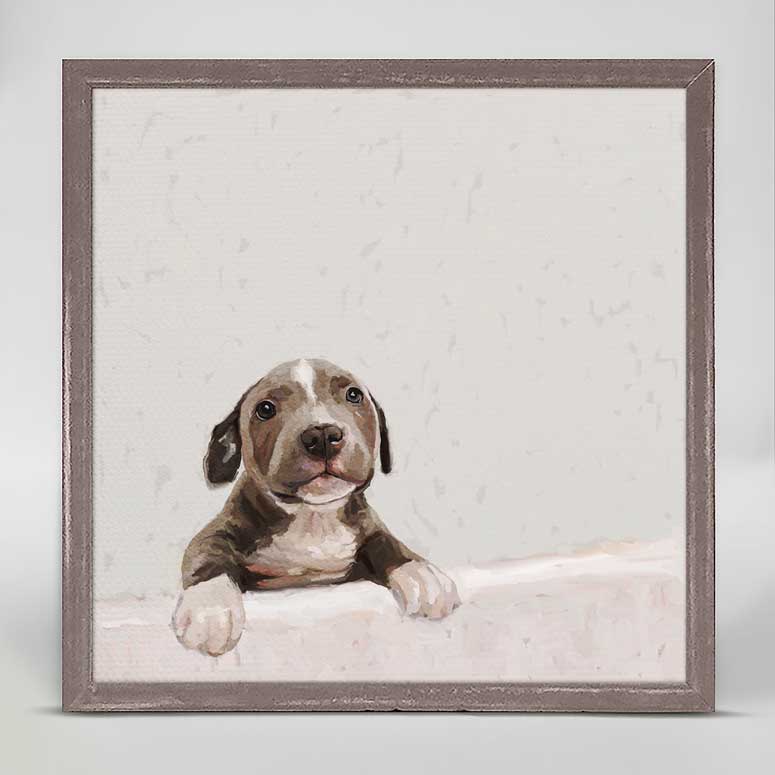 Pit Bull Pup Mini Framed Canvas